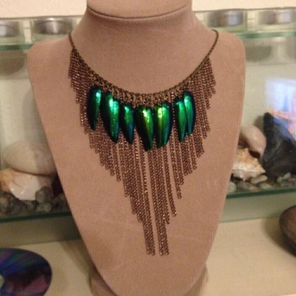 Jewel beetle wings drilled for jewelry making - Picture 5 of 8